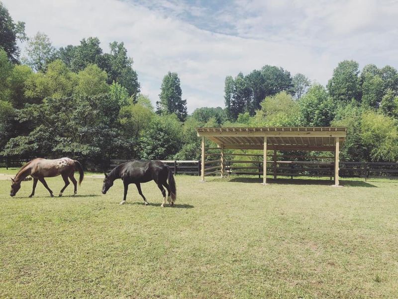 Run-in shed with open front, concrete pier footings, and pitched corrugated roof